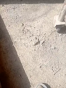 Kurtsikicixh online show from 10-21-25, 09:32