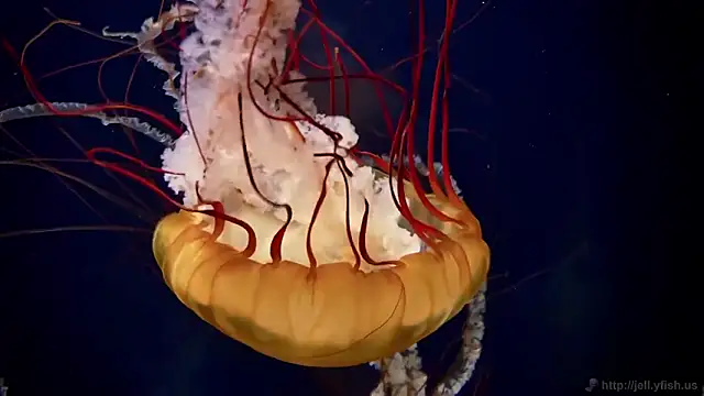 Snapshot of streamy_test12 chatting on 02-16-26, 04:25 streamy test12 online show from 02-16-26, 04:25