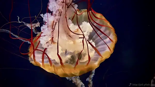 Snapshot of streamy_test12 chatting on 02-24-26, 01:31 streamy test12 online show from 02-24-26, 01:31