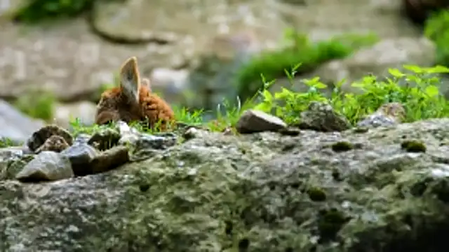 streamy test13 online show from 03-18-26, 04:32