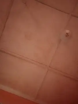 Snapshot of bebsexy chatting on 12-14-25, 12:54 bebsexy online show from 12-14-25, 12:54