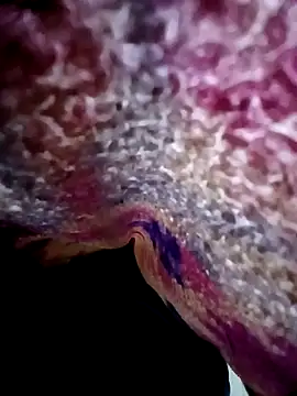 Snapshot of morenogts69 chatting on 10-24-25, 01:29 morenogts69 online show from 10-24-25, 01:29