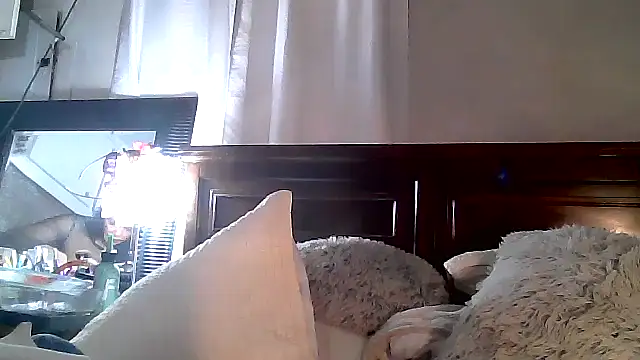 paiday online show from 12-04-24, 12:08