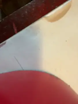 joeycbigcock online show from 01-02-25, 03:19