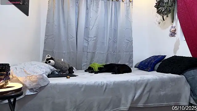 Snapshot of alejo_cute chatting on 10-06-25, 08:28 alejo cute online show from 10-06-25, 08:28