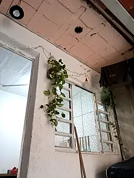 Snapshot of Brasilsexxx chatting on 12-18-25, 02:45 Brasilsexxx online show from 12-18-25, 02:45