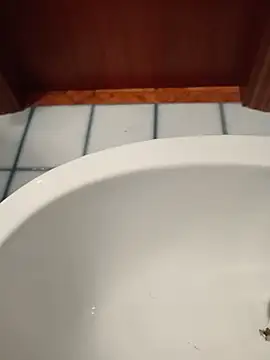 Durovoglioso2 online show from 03-15-26, 07:14