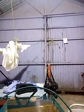 leyel00155 online show from 03-12-26, 12:17