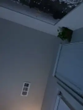 goldbuni online show from 11-17-25, 12:11