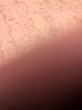 klownman1 online show from 03-01-25, 06:00