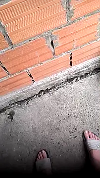 mendelicius online show from 04-11-26, 11:14