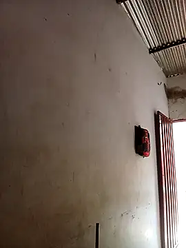 Andreita 95 online show from 03-17-25, 05:49