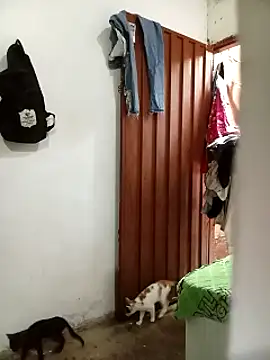 Andreita 95 online show from 11-13-25, 11:31