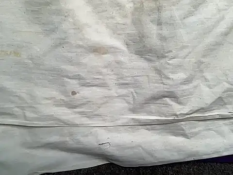 Snapshot of beforeyou69 chatting on 01-30-25, 01:42 beforeyou69 online show from 01-30-25, 01:42