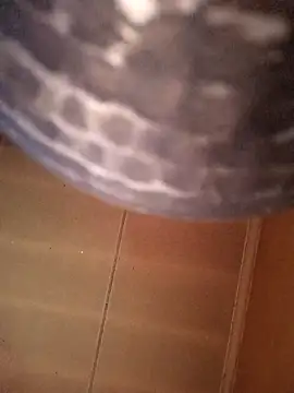 Snapshot of SashaahXXX chatting on 02-12-26, 03:40 SashaahXXX online show from 02-12-26, 03:40