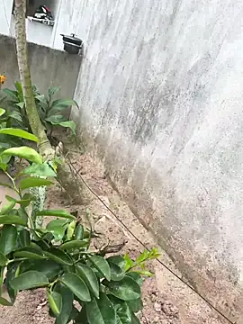 Snapshot of king_cum_ chatting on 02-18-26, 02:24 king cum online show from 02-18-26, 02:24