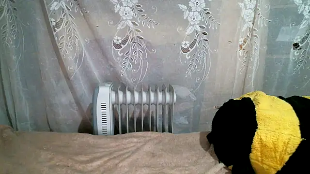 DennisXCaroll online show from 01-20-25, 05:48