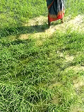 hairipussy2 online show from 02-07-25, 03:55