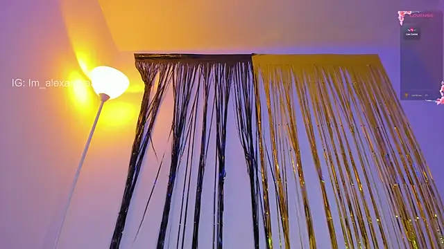 Snapshot of Alexa_will chatting on 01-02-25, 02:22 Alexa will online show from 01-02-25, 02:22