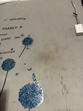 Snapshot of DiamondGoddes chatting on 01-14-25, 07:38 DiamondGoddes online show from 01-14-25, 07:38