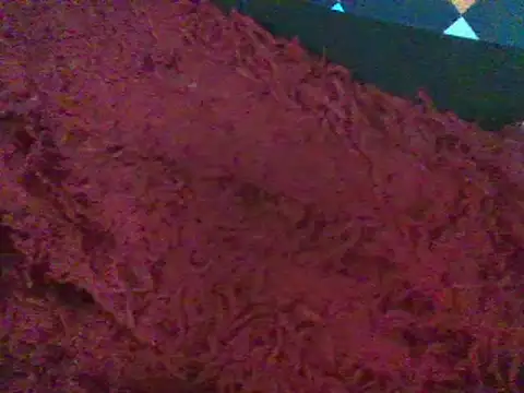 Snapshot of RoxiRedXXX chatting on 01-11-25, 06:12 RoxiRedXXX online show from 01-11-25, 06:12