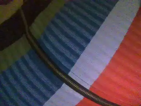 Snapshot of RoxiRedXXX chatting on 02-18-25, 06:04 RoxiRedXXX online show from 02-18-25, 06:04