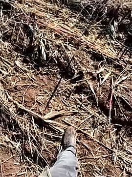 murokkk31 online show from 12-14-25, 08:41