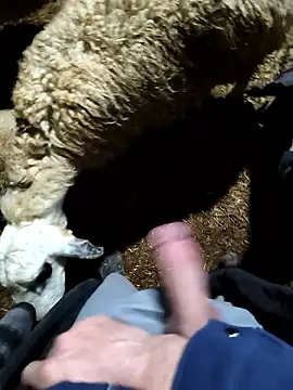 Snapshot of murokkk31 chatting on 01-09-26, 11:28 murokkk31 online show from 01-09-26, 11:28