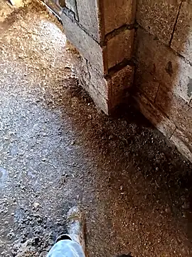 Snapshot of murokkk31 chatting on 01-14-26, 07:14 murokkk31 online show from 01-14-26, 07:14