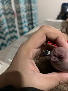 Snapshot of thecockybouy chatting on 03-01-25, 04:37 thecockybouy online show from 03-01-25, 04:37