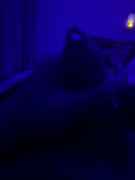 Snapshot of thecockybouy chatting on 03-02-25, 01:36 thecockybouy online show from 03-02-25, 01:36