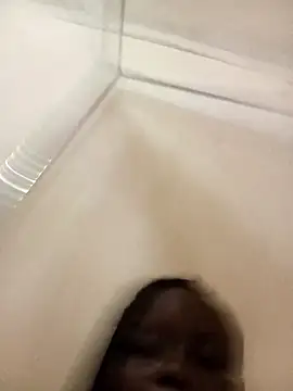 cindysasha11 online show from 11-10-25, 05:45