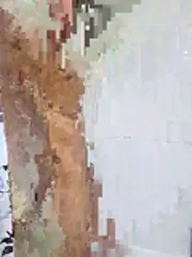 Snapshot of Yoko0381 chatting on 02-18-26, 05:03 Yoko0381 online show from 02-18-26, 05:03