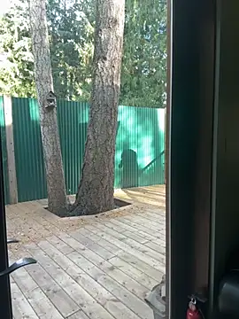 Snapshot of twist699 chatting on 11-08-25, 06:40 twist699 online show from 11-08-25, 06:40