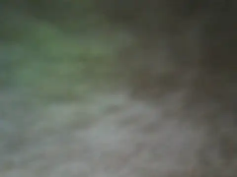 Snapshot of ShivamFactor3 chatting on 11-28-25, 05:48 ShivamFactor3 online show from 11-28-25, 05:48