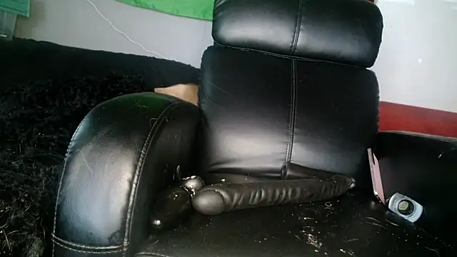 Snapshot of Gigadickman chatting on 12-05-24, 01:49 Gigadickman online show from 12-05-24, 01:49