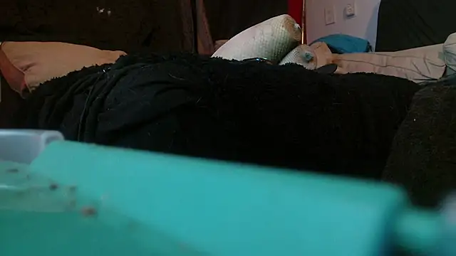 Snapshot of Gigadickman chatting on 01-15-25, 02:17 Gigadickman online show from 01-15-25, 02:17