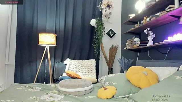 DominikaElis online show from 02-15-25, 08:11