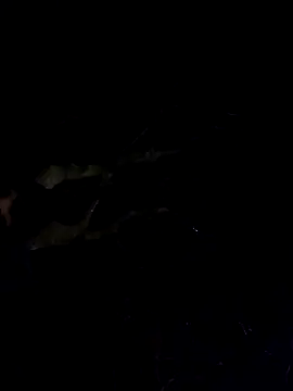 Snapshot of Wildherb244 chatting on 12-04-24, 01:36 Wildherb244 online show from 12-04-24, 01:36