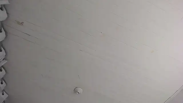 TiffanyWright online show from 11-29-25, 10:40