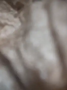 Snapshot of VL25DN26 chatting on 03-09-26, 01:59 VL25DN26 online show from 03-09-26, 01:59