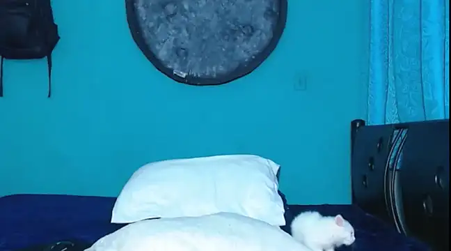 Dirtymatthew online show from 02-10-25, 06:03