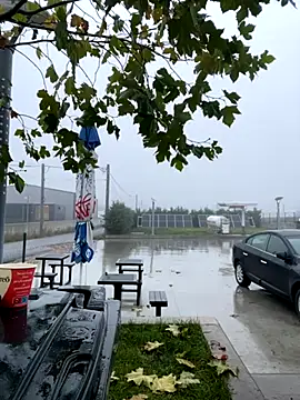 baramadalin online show from 11-21-25, 05:28