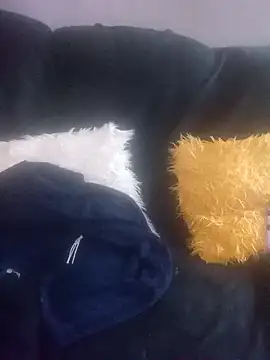 Snapshot of amarrabrown2024 chatting on 03-17-25, 07:13 amarrabrown2024 online show from 03-17-25, 07:13