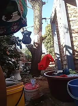 Snapshot of amarrabrown2024 chatting on 09-19-25, 06:04 amarrabrown2024 online show from 09-19-25, 06:04