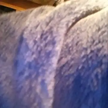 Snapshot of amarrabrown2024 chatting on 10-15-25, 06:46 amarrabrown2024 online show from 10-15-25, 06:46