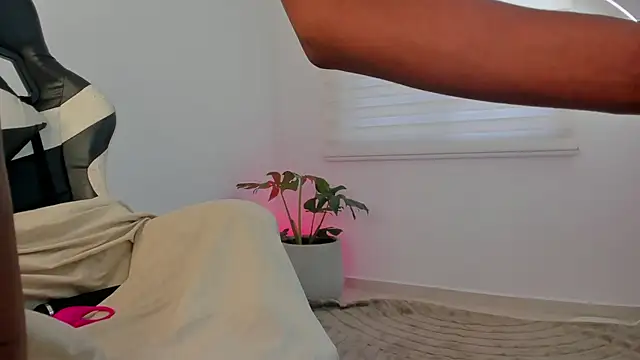 SavannahWildee online show from 06-29-26, 11:43