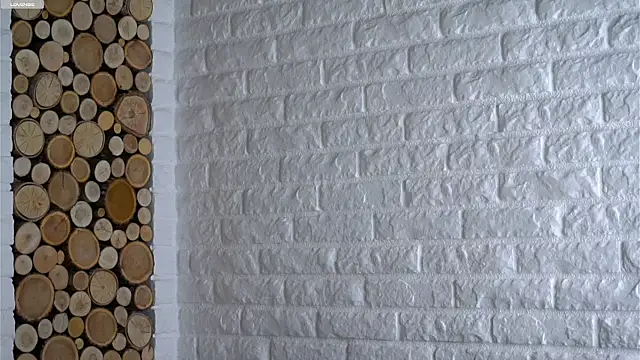 Snapshot of LowOncoming chatting on 11-14-25, 01:59 LowOncoming online show from 11-14-25, 01:59