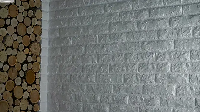 Snapshot of LowOncoming chatting on 12-01-25, 02:05 LowOncoming online show from 12-01-25, 02:05