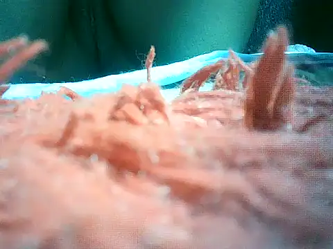 Snapshot of mumbi91 chatting on 01-10-25, 10:57 mumbi91 online show from 01-10-25, 10:57